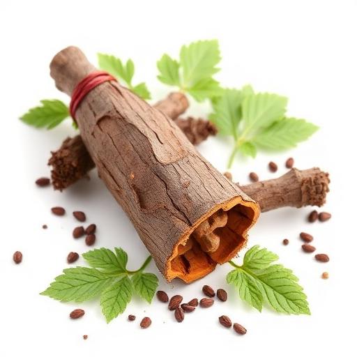 Sarsaparilla Root