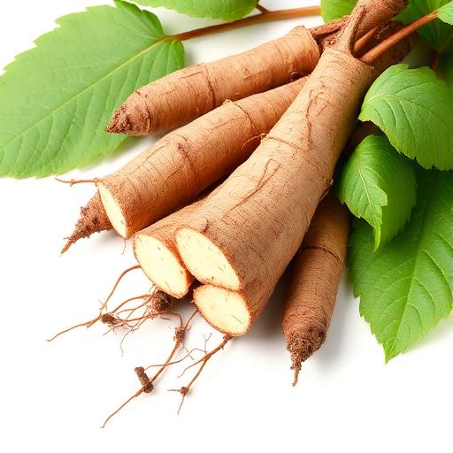 Wild Yam Root